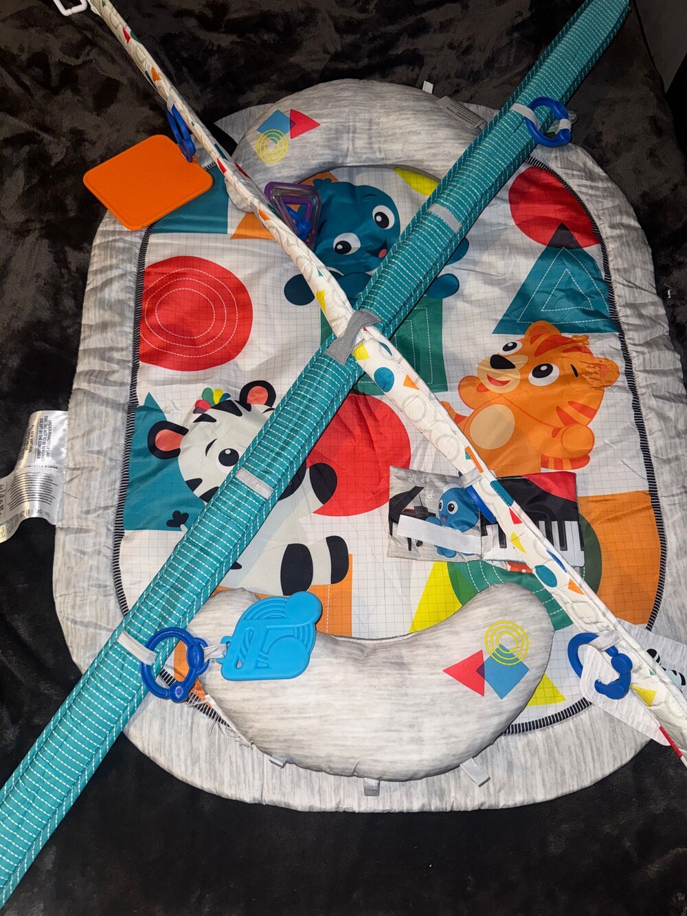 Baby Einstein Play Gym with  Blue Rings and Soft Toys